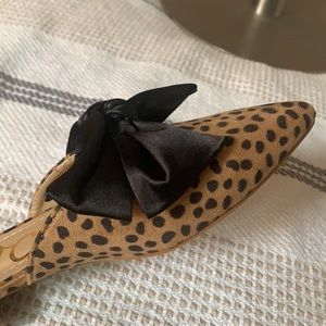 ccocci shoes cheetah